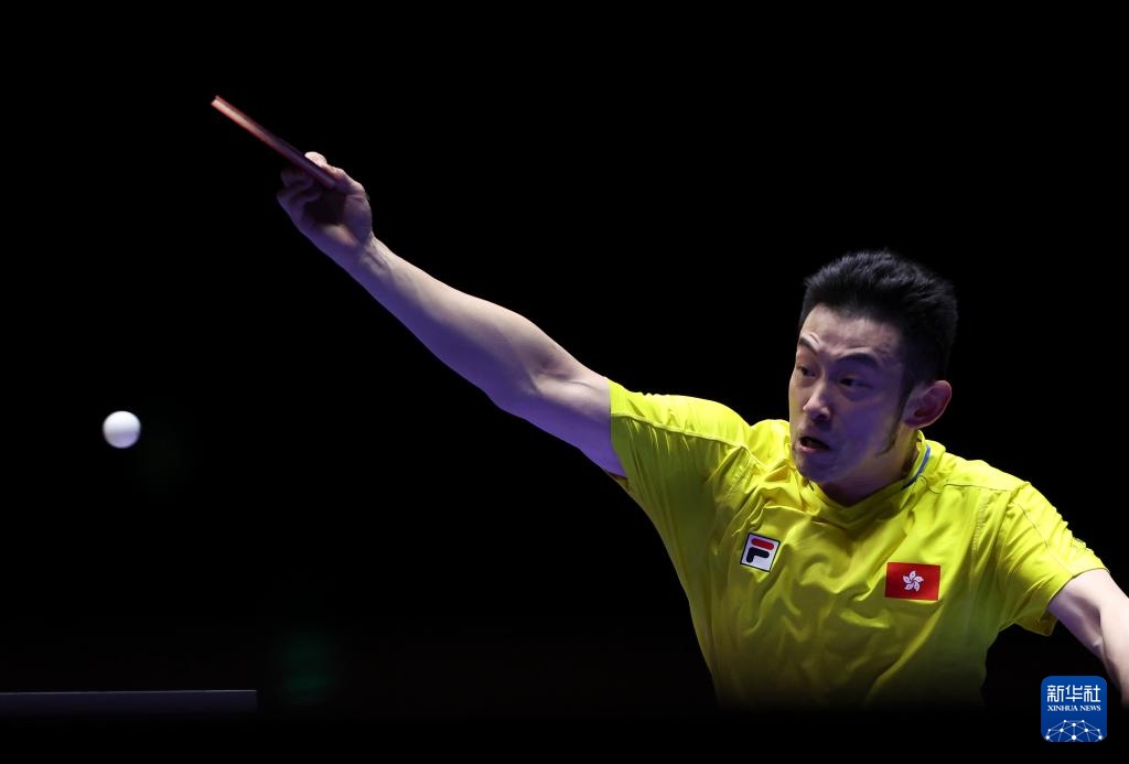 中期可操作 中期可操作